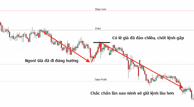 hieu-ung-marshmallow-trong-trading-giai-thich-nguyen-nhan-that-bai-cua-trader-traderviet-4.